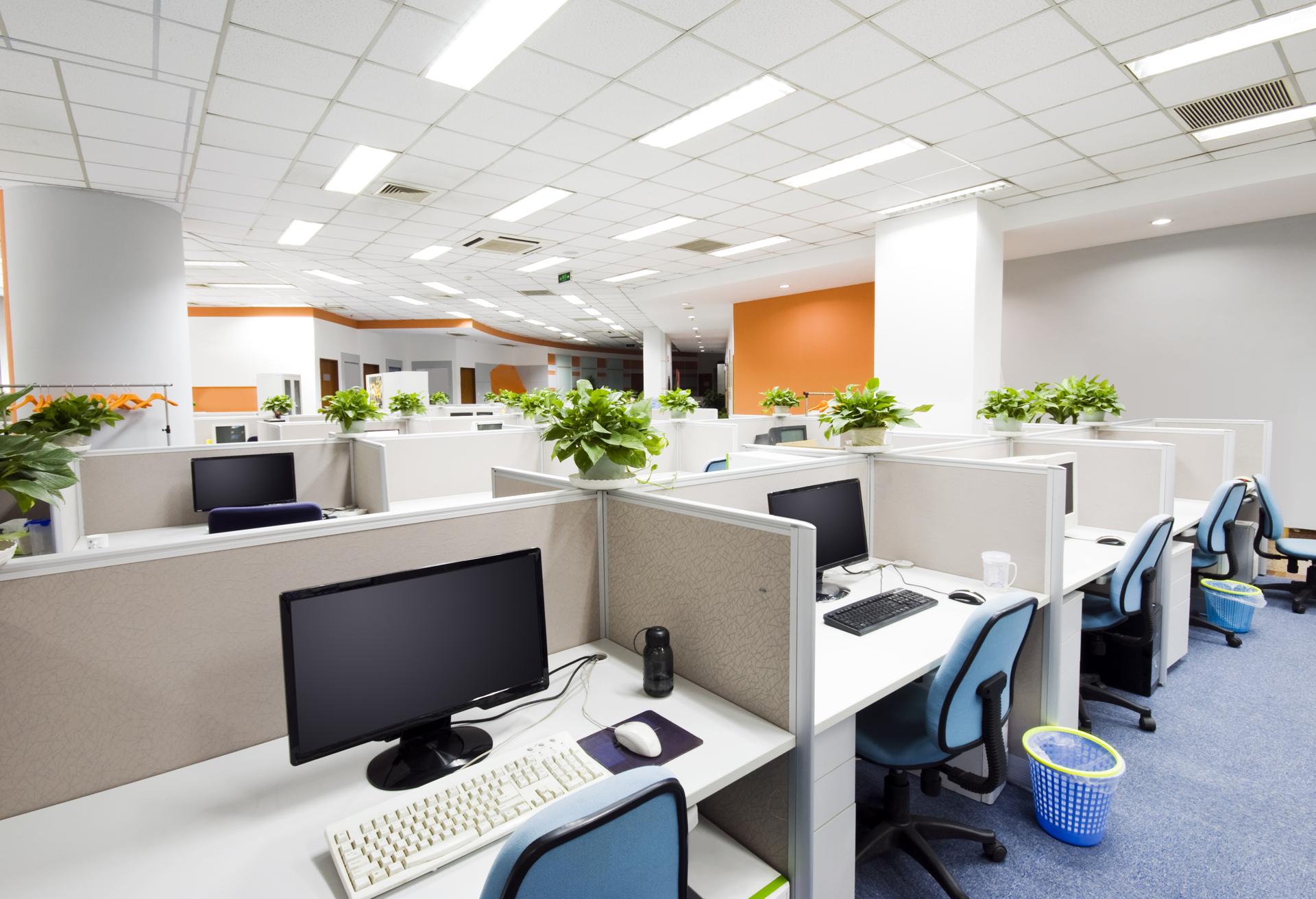 Affordable Commercial Office Cleaning in Bertram